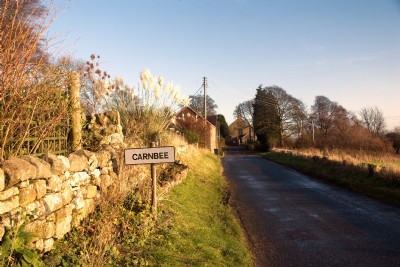 carnbee 01